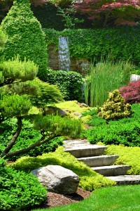 5216804-japanese-garden